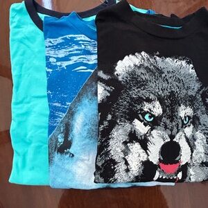 Old Navy-Children Place- Cotton Long Arm T/Shirts-Set of 3- Boys
3 X 15$ bundle